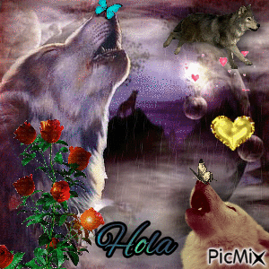 Wolves Howling Hola