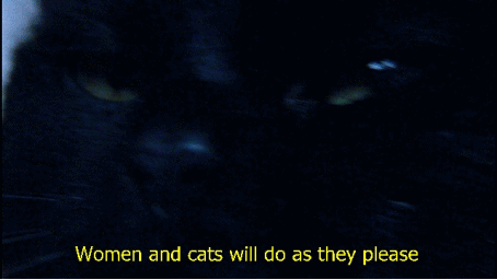 Woman And Cats Facts GIF