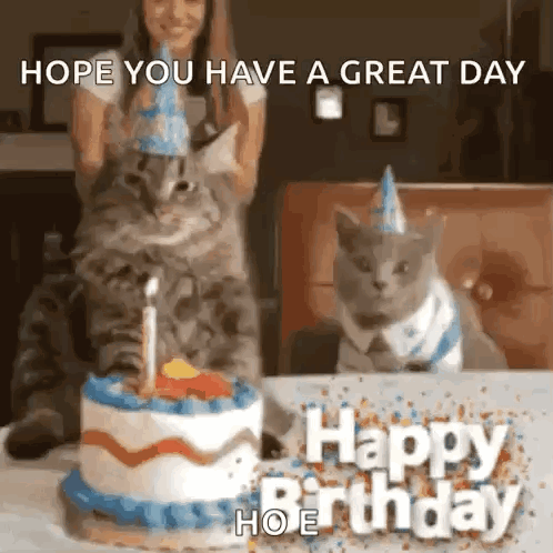 Woman and Two Cats Celebrating Birthday