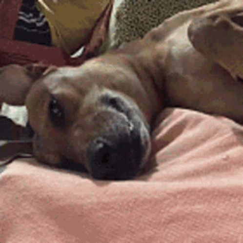 Woman Asking To Ride Back GIF
