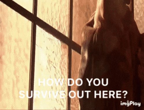 Woman at Window: How Do You Survive Out Here
