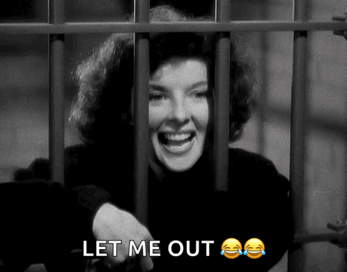 Woman Behind Bars Let Me Out GIF