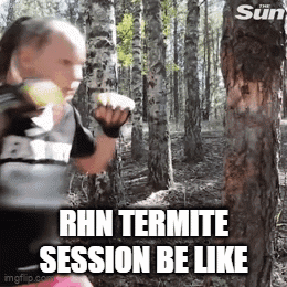 Woman Boxing in Woods Rhn Termite Session