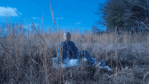 Woman Chilling Picnic Outside GIF