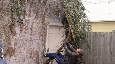Woman Climbing I Want It Now GIF