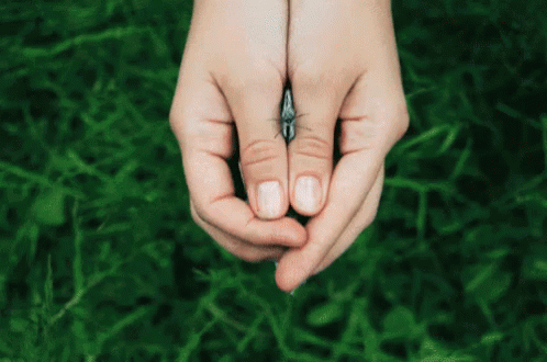 Woman Close Up With Ki-Figols GIF