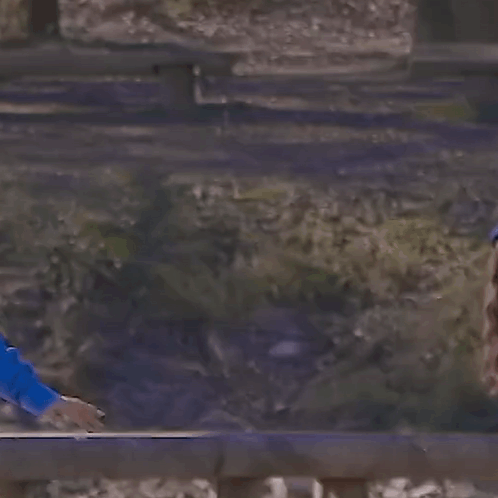 Woman Crawling Over Wooden Fence With Question Mark