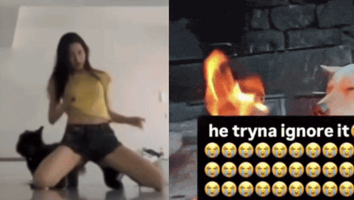 Woman Dancing Next to Dog on Fire He Tryna Ignore It