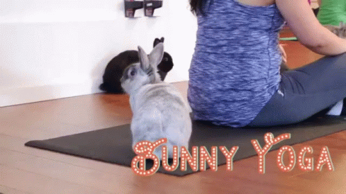 Woman Doing Bunny Yoga with Two Rabbits