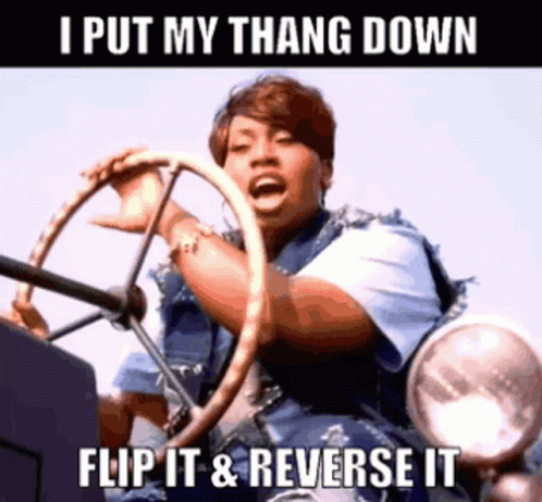 Woman Driving Car I Put My Thang Down Flip It & Reverse It