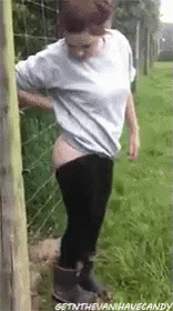 Woman Electrocuted By Electric Fence GIF