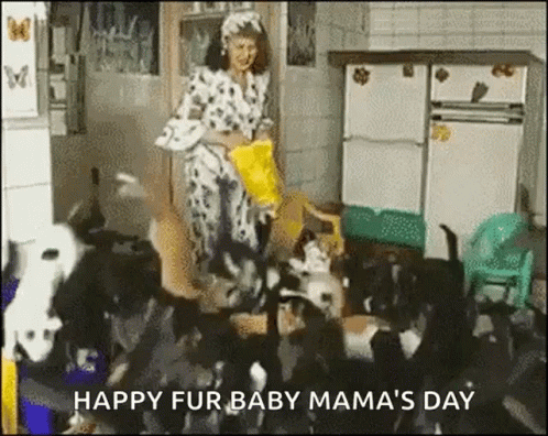 Woman Feeding Dogs Happy Fur Baby Mama's Day
