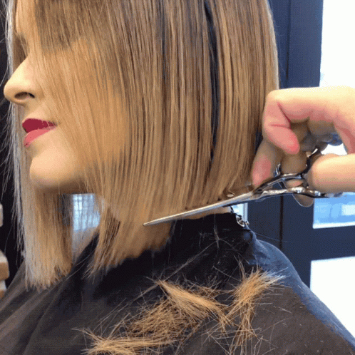 Woman Getting Haircut From Stylist GIF