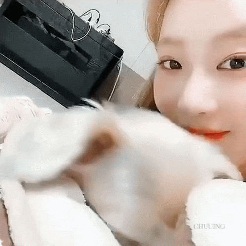 Woman Holding And Looking At Small White Dog GIF