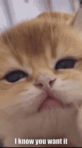 Woman Holding Baby Saying Oh I Don't Know GIF