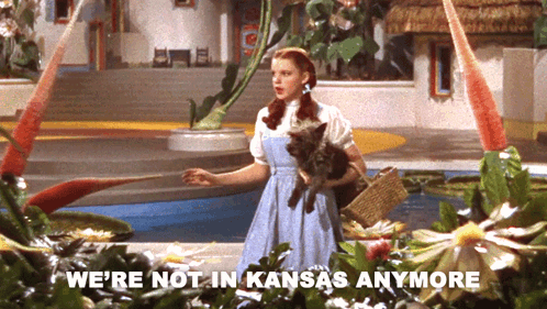 Woman Holding Cat Saying We're Not In Kansas Anymore GIF