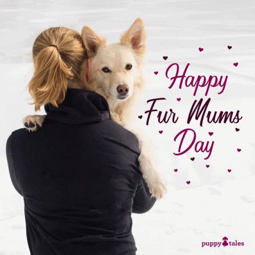 Woman Holding Dog Happy Fur Mums Day