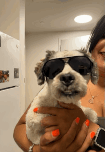 Woman Holding Dog In Sunglasses GIF
