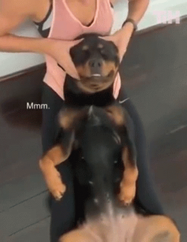 Woman Holding Dog Lying on Back