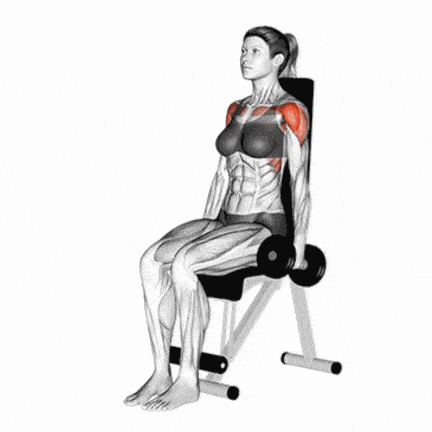 Woman Holding Dumbbells Over Shoulders on Bench