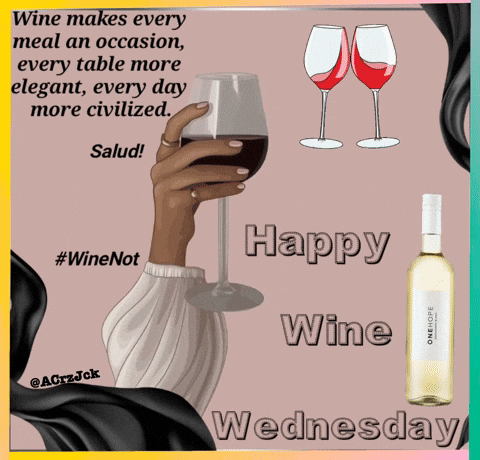 Woman Holding Glass Of Wine GIF