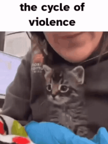 Woman Holding Kitten Saying The Cycle of Violence