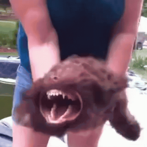 Woman Holding Open-Mouthed Stuffed Animal