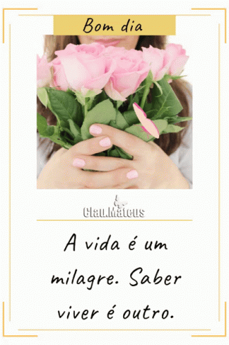 Woman Holding Pink Roses Bom Dia