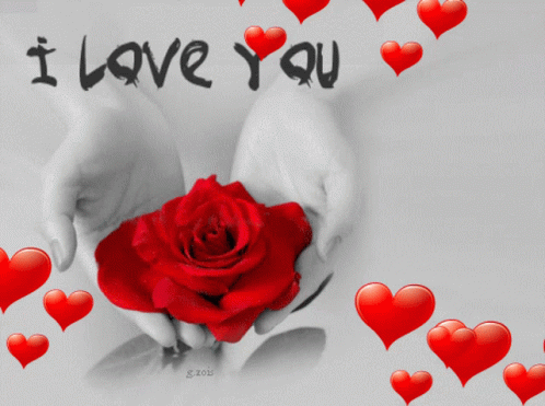 Woman Holding Red Rose Saying I Love You