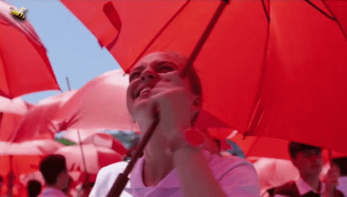 Woman Holding Red Umbrella With Bee