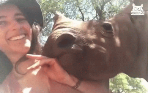 Woman Holding Rhino With Glasses and Hat