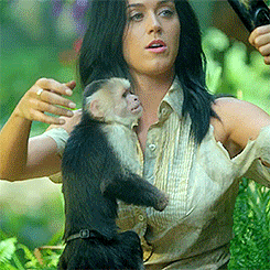 Woman Holding Small Black and White Monkey