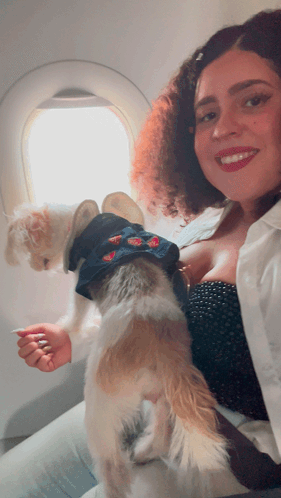 Woman Holding Small Dog And Smiling GIF
