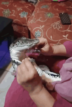 Woman Holding Small Lizard in Lap