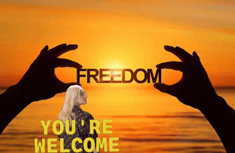 Woman Holding Word Freedom At Sunset GIF