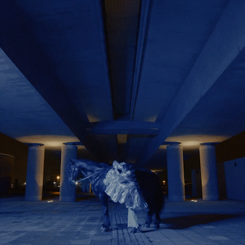 Woman Horse Disappear GIF