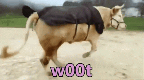 Woman Hugging Brown And White Cow Laying On Ground GIF