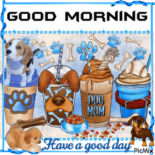 Woman Hugging Dog and Cat Happy Day