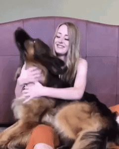 Woman Hugging Large German Shepherd on Bed