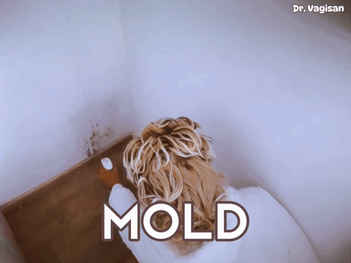 Woman in Bathrobe Cleaning Wall Mold