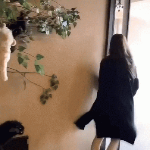 Woman In Black Coat By Wall Of Stuffed Animals GIF