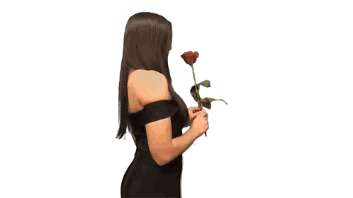 Woman in Black Dress Holding Red Rose