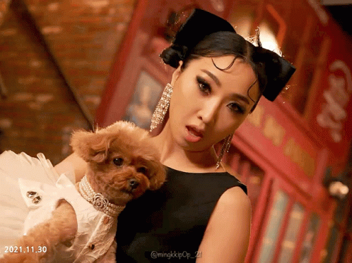 Woman in Black Dress Holding Small Brown Dog