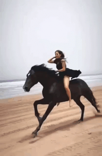 Woman in Black Dress Riding Black Horse on Beach