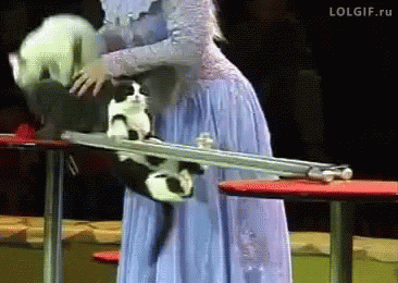 Woman in Blue Dress Holding Two Cats