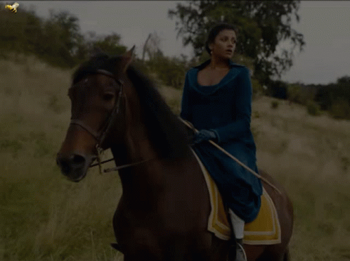 Woman In Blue Dress Riding Horse GIF