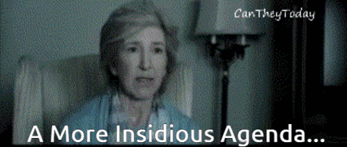 Woman In Chair Saying A More Insidious Agenda GIF