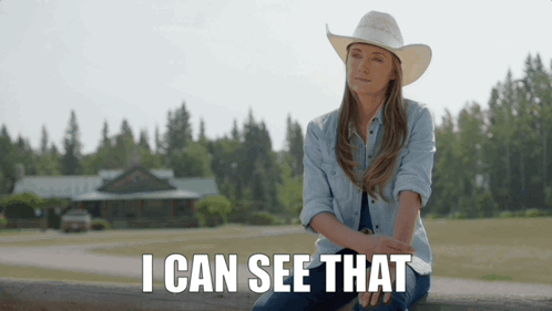 Woman In Cowboy Hat On Fence Saying I Can See That GIF