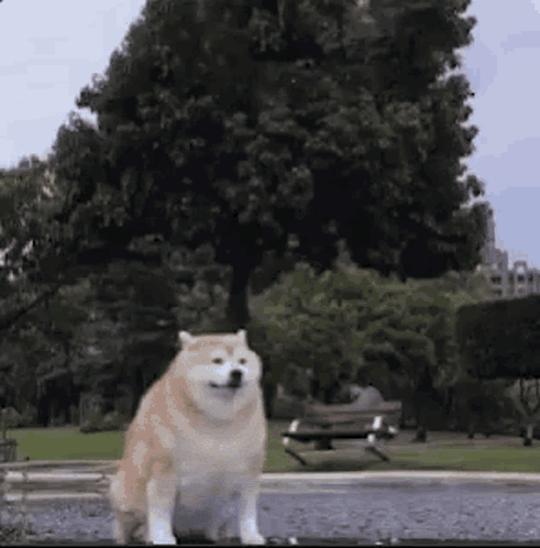 Woman In Crop Top Dancing At Tables GIF