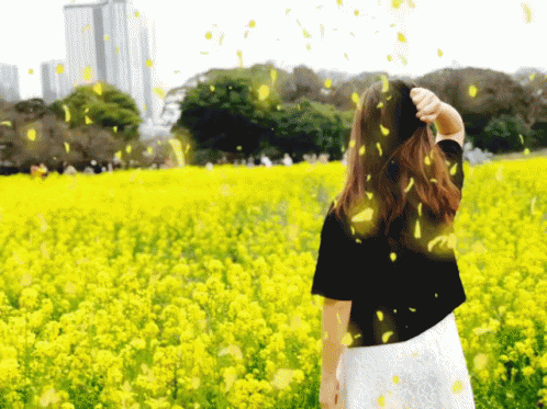 Woman In Field Of Yellow Flowers With Falling Petals GIF